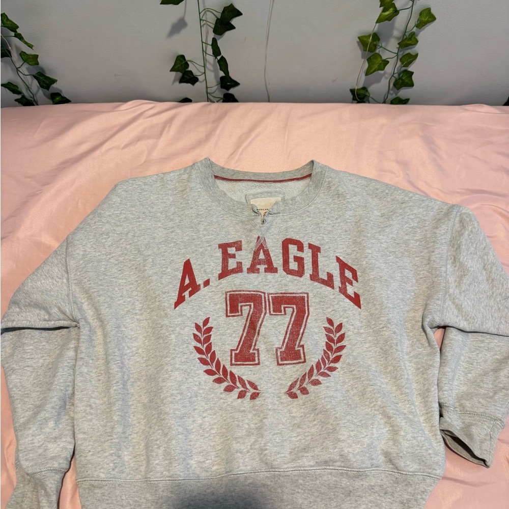 American Eagle Crewneck